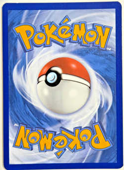 Galarian Moltres SWSH284 Black Star Promo Card Pokemon TCG - Image 2