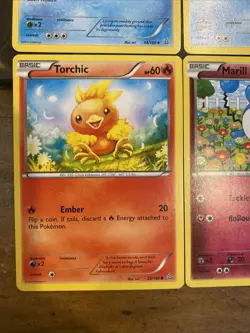 Pokemon 2015 Primal Clash 4 Cute Cards Marshtomp Spheal Torchic Marill - Image 3