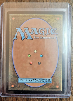 MTG PLAYING CARD Bloomburrow 1x Marrow-Gnawer Borderless Commander - Image 3