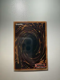 Yu-Gi-Oh Dark Armed Dragon PTDN-EN019 Secret Rare 1st Edition NM-VLP Italian - Image 2