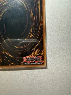 Yu-Gi-Oh Dark Armed Dragon PTDN-EN019 Secret Rare 1st Edition NM-VLP Italian - Image 5