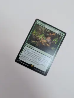 MTG - Asceticism - Commander: Lord of The Rings NM/M Condition - Image 2