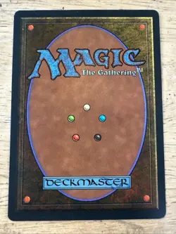 Reveka, Wizard Savant - Homelands (HML) - Magic: The Gathering - MTG -NM-Vintage - Image 2