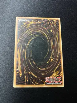 Dark Paladin DMG-001 Secret Rare Limited Edition Promo Yugioh MP Damaged - Image 3