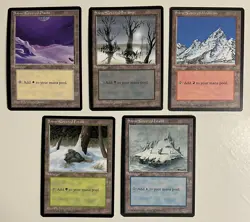 1995 *Magic the Gathering* Full Set of 5 Sno-Covered Land Cards *MTG* - Image 1