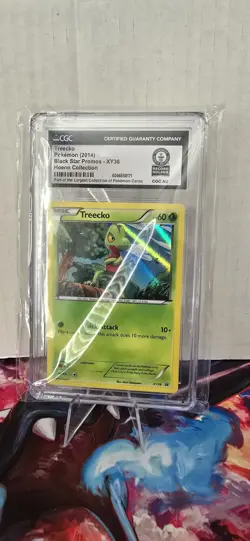 Pokemon CGC World Record Breaks - 2014 Treecko XY36 Black Star Promos Holo - Image 1