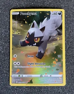 Poochyena GG33/GG70 Crown Zenith Galarian Gallery Full Art Holo - Pokemon TCG - Image 1