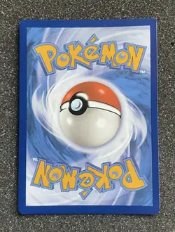 Poochyena GG33/GG70 Crown Zenith Galarian Gallery Full Art Holo - Pokemon TCG - Image 2