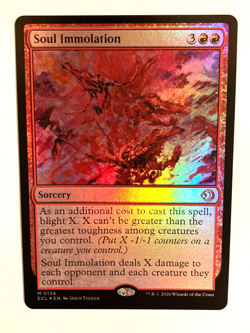 MTG - Soul Immolation / Lorwyn Eclipsed / Foil / NM - Image 1