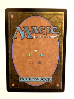 MTG - Soul Immolation / Lorwyn Eclipsed / Foil / NM - Image 2