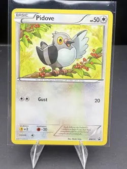BW15 Pidove - Black & White Promo Card Pokemon TCG Toys-R-Us Mystery Egg - LP-MP - Image 1