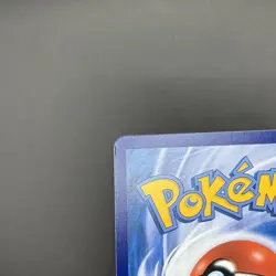 [US SELLER] [LP] Pokemon S-Chinese Charizard VMAX PROMO 079-S-P Rainbow Card - Image 3