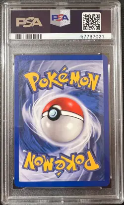 Pokemon PSA 10 GEM MINT 2004 Tropical Wind World Championship Black Star Promo - Image 2