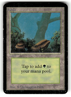 Forest (A) Normal L Beta Edition MP - Image 1