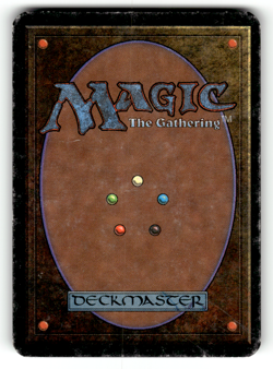 Forest (A) Normal L Beta Edition MP - Image 2