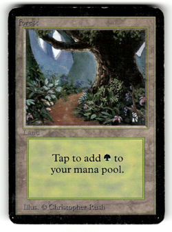 Forest (B) Normal L Beta Edition MP - Image 1