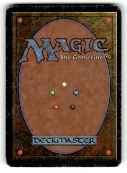 Forest (B) Normal L Beta Edition MP - Image 2