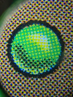 Sunder Masterpiece Series: Amonkhet Invocations Foil - MTG Magic: The Gathering - Image 3