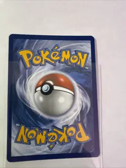 Mega Charizard X EX SIR 125 (English) Phantasmal Flames Pokemon TCG with case. - Image 2