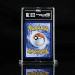 Blaziken 192/182 Illustration Rare Pokemon TCG Destined Rivals NM - Image 2