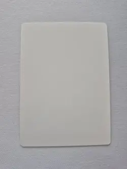 Street Wraith Signed Artist Proof MTG - Image 2