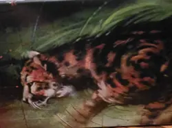 MTG Magic Vintage King Cheetah Multiverse Card Storage Box EmptyU - Image 1