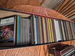 MTG Magic Vintage King Cheetah Multiverse Card Storage Box EmptyU - Image 4