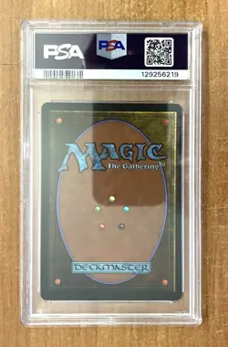 Magic the Gathering, Legends Expansion, Sylvan Paradise Uncommon Card, PSA 9 - Image 2