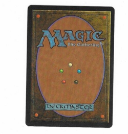 Uktabi Orangutan Visions Magic The Gathering Trading Card - Image 2