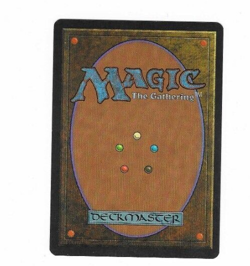 Uktabi Orangutan Visions Magic The Gathering Trading Card - Image 4