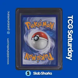 2025 POKEMON MEGA EVOLUTION #172/132 MYSTERY GARDEN FULL ART ULTRA RARE - Image 2