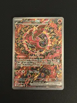 Oricorio Ex MEP 24 - Pokemon TCG Mega Evolution Black Star Promo #024 NM/M - Image 1