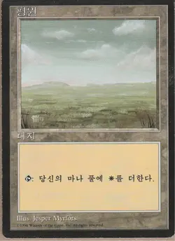 Magic the Gathering 1996 Planes Korean 4th Edition Black Bordered #366 LP - Image 1