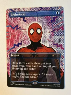 Brainstorm 7019 Secret Lair: Spider-Man Secret Lair Drop SLD MTG NM - Image 1