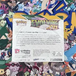 Evolving Skies Booster Box - No Cards - Display Box WITH WRAPPING - EMPTY!! - Image 4