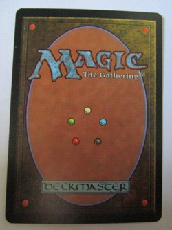 MTG Auratog Tempest Light Play!! - Image 2