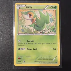 Snivy RC1/RC25 Legendary Treasures Radiant Collection 2013 Pokemon Card LP/NM - Image 1