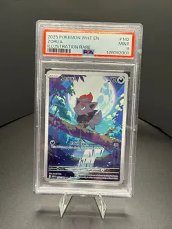 Pokemon TCG - Zorua - 142/086 - White Flare - Illustration Rare - Mint PSA 9 - Image 1