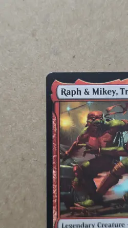 Raph & Mikey, Troublemakers Teenage Mutant Ninja Turtles Regular - Image 2