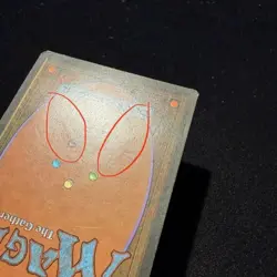 MTG Tundra Revised Edition - See picts for condition - Image 4