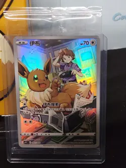 Pokemon Chinese 2024 Eevee Vmax Holo Sealed With Eevee Keychain Cardholder - Image 4