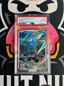 Pokemon Marill Illustration Rare Holo Paldea Evolved 204/193 PSA 8 - Image 1