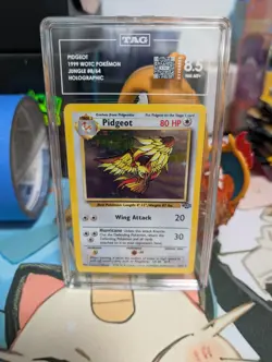 TAG 8.5 Pidgeot 1999 Jungle 8/64 Holo Pokemon Card - Image 1