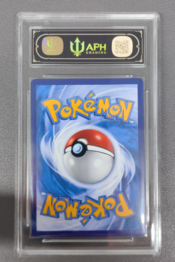 APH Black 10 2023 Pokemon TCG S-Chinese Promo 082/S-P Friends In Galarian Holo - Image 2