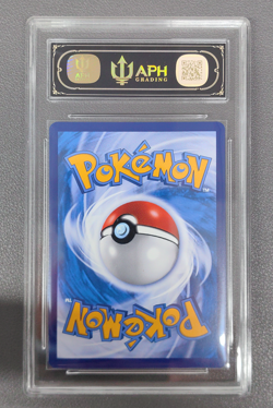 APH Black 10 2023 Pokemon TCG S-Chinese Promo 082/S-P Friends In Galarian Holo - Image 2