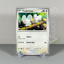 Pokemon TCG Card: TANDEMAUS 166/193 | Common | Paldea Evolved | NM/Mint - Image 1