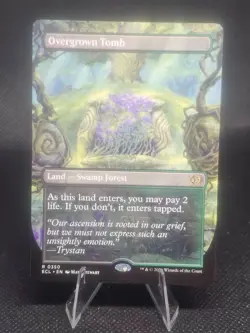 Overgrown Tomb (Borderless) - Lorwyn Eclipsed - NM - Rare - Land - Image 1