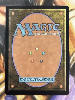 FOIL Wan Shi Tong, Librarian (Borderless) #0320 MTG Avatar Last Airbender - NM/M - Image 2