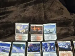 MTG x24 Snow-covered Lands Lot Includes Foils - Image 2