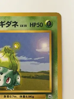 Erika's Bulbasaur No. 001 Gym vintage old back Japanese Pokemon card From Japan - Image 3